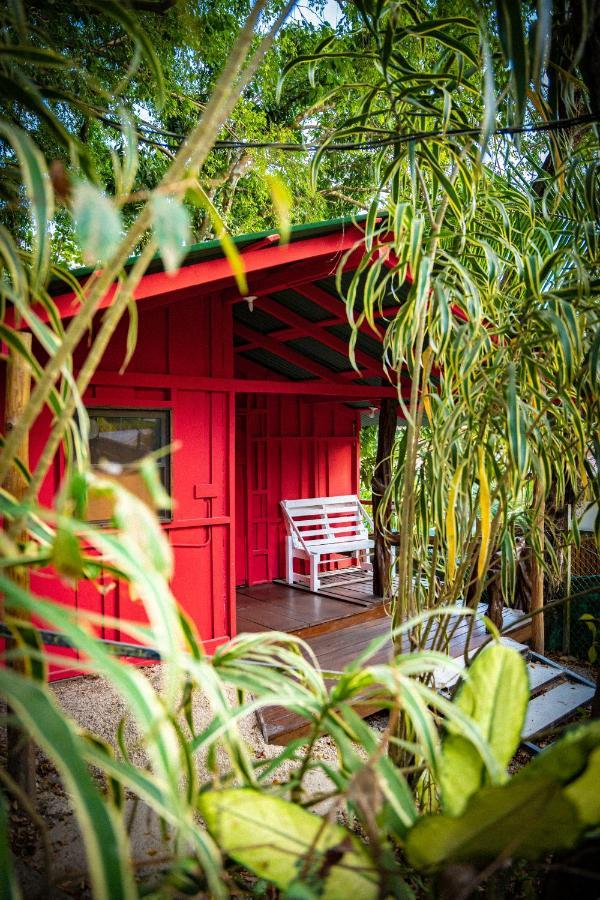 Pura Vida Mini Hostel Santa Teresa Playa Santa Teresa  Екстер'єр фото