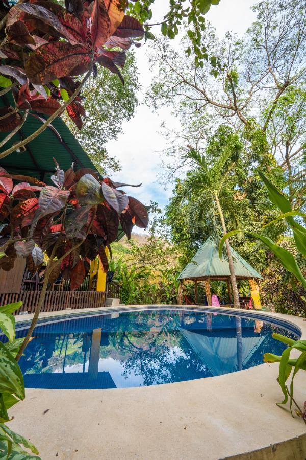 Pura Vida Mini Hostel Santa Teresa Playa Santa Teresa  Екстер'єр фото